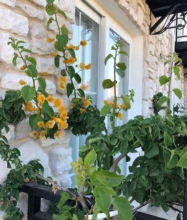 Panzió Village Farm Boutique